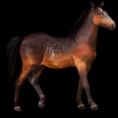/album/kepeim/miniature-1-png2/